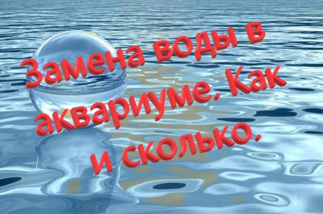 Замена воды в аквариуме, как и сколько.mp4