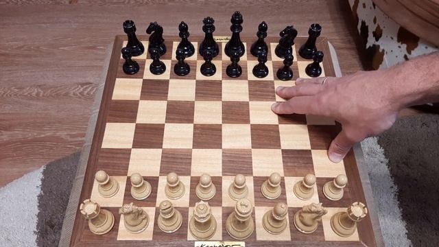 Как быстро научиться играть в шахматы.