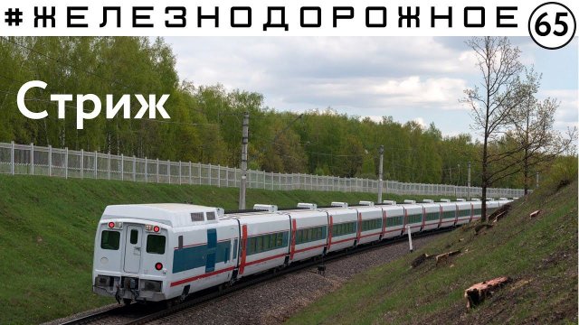 Полный обзор поезда "Стриж". Все варианты размещения, особенности, история. #Железнодорожное - 65 с.