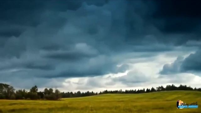 Денис Майданов Флаг государства