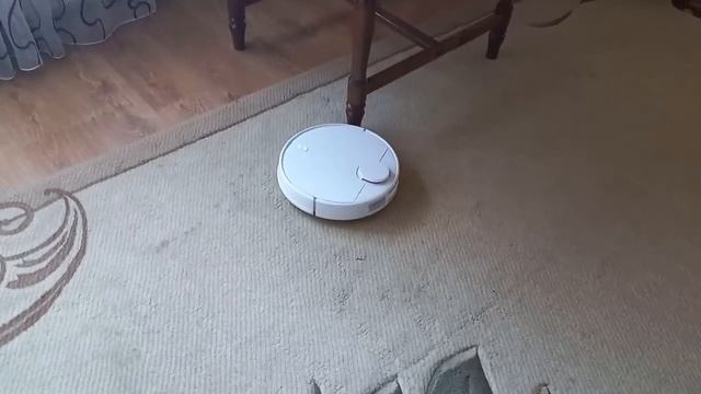 Робот пылесос отзыв реального пользователя