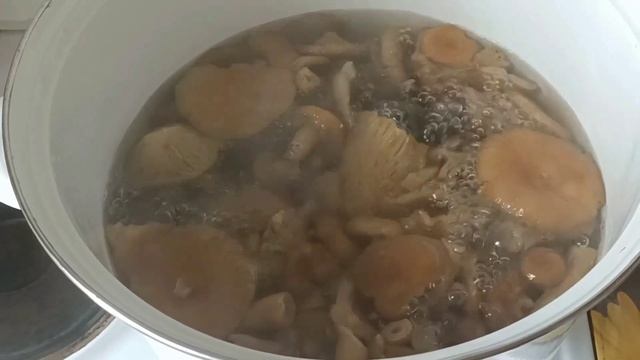 Рецепт грибов волнушки и серушки солю горячим способом