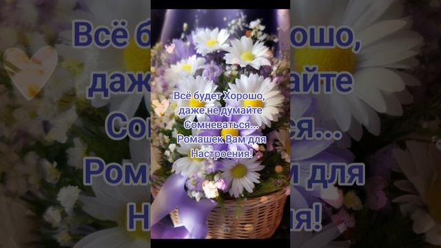 ромашки