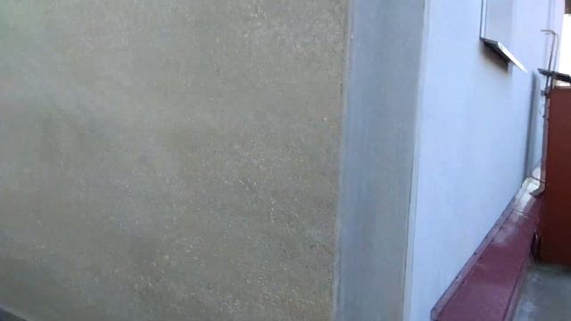ЦСП. Цементно-стружечная плита , что с ней стало спустя 3 месяца !!!