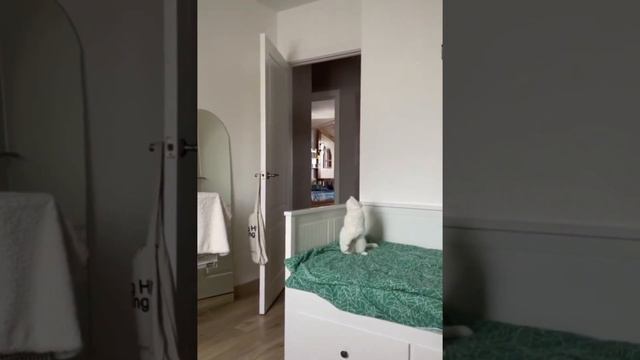 Нужна подсказка?