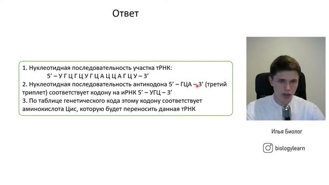 Задачи на синтез белка | Штрих концы и антипараллельность | 28 задание ЕГЭ по биологии