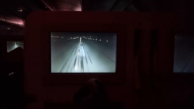 БИЗНЕС-КЛАСС АЭРОФЛОТ А330 | Airbus A330-300 Aeroflot