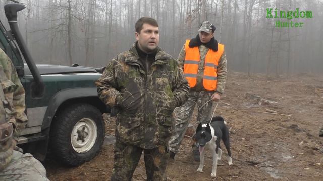 Охота на косулю и кабана Часть 1: Выезд и первый загон.