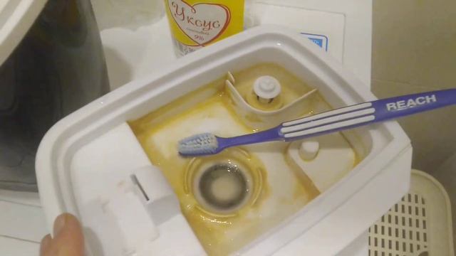 Как почистить увлажнитель воздуха самостоятельно