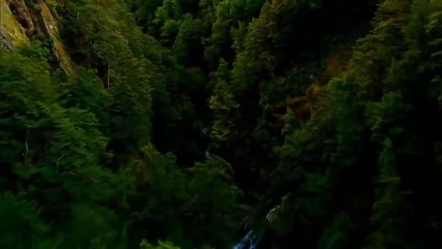 Планета Земля Удивительная природа