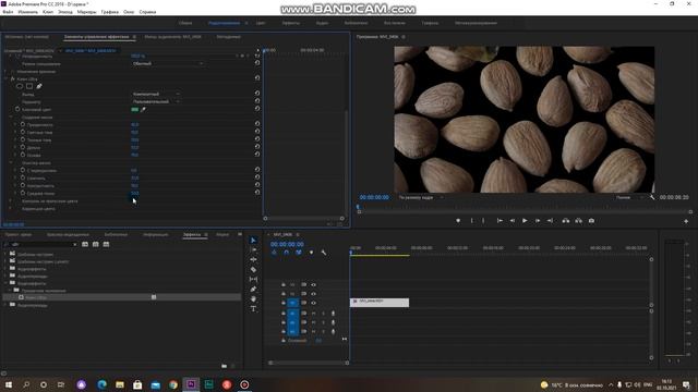 съёмка орехов, хромакей, food videomaking