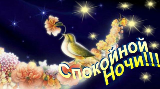 Доброй ночи и сказочных снов среди Ангелов 🌙