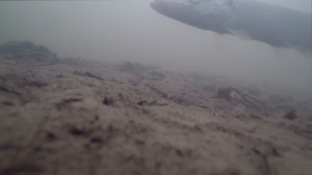 Рыбалка на реке Ячменка