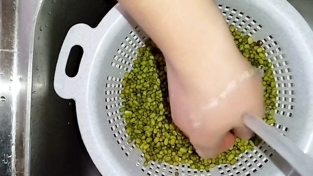 Как прорастить Маш в домашних условиях?? Всего за 4дня
