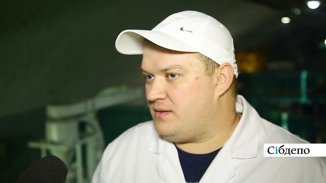 Как чистят кедровый орех