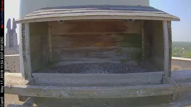 Camera 5 - 05/17/18