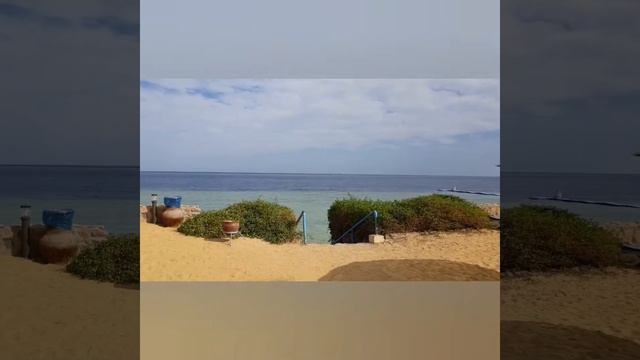 Подробный обзор отеля Queen Sharm Resort 4* в Sharm el Sheikh в Египте. Бюджетный отдых в Египте.