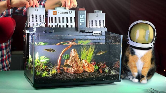 Мы купили аквариум из будущего на aliexpress