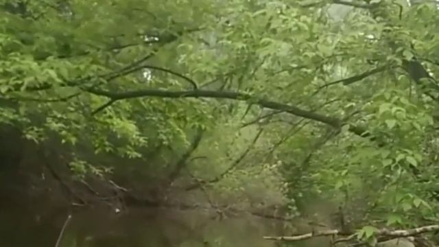 Каяк из пенопласта с мотором