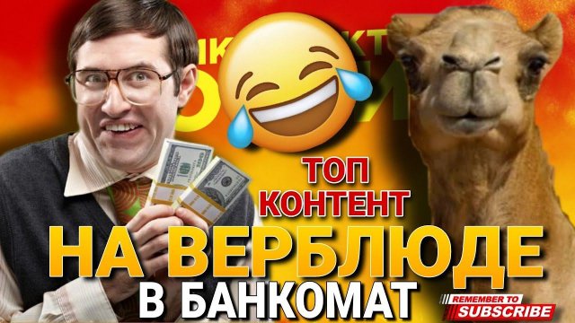 На верблюде до БАНКОМАТА  / ТОП КОНТЕНТ #гагарин