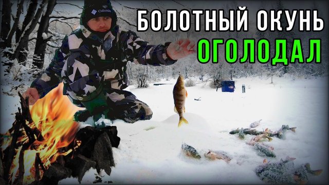 Озеро в болоте с голодным окунем.Рыбалка на блесну.Жарим сало на костре.