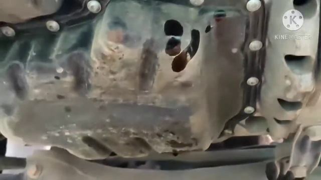 Замена моторного масла на Шкода Октавия А7 объем двигателя 1,6 MPI