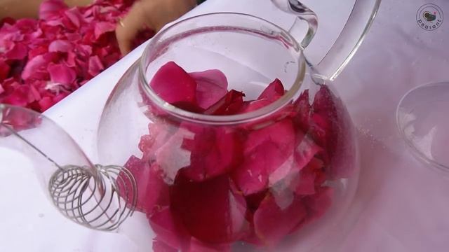 Сбор свежих чайных листьев Азербайджанская Кухня Деревенская Кухня Рецепты