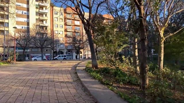 Как избавиться от голубей, не убивая! Передовой опыт из Барселоны.