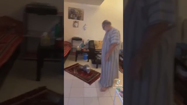 Смешные животные ?