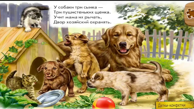 Домашние животные и их детёныши