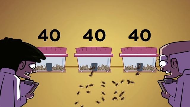 Ленивцы Такие Медленные, Что На Них Растут Водоросли. Парад Фактов