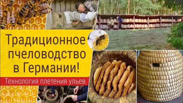 Традиционное пчеловодство в Германии!
