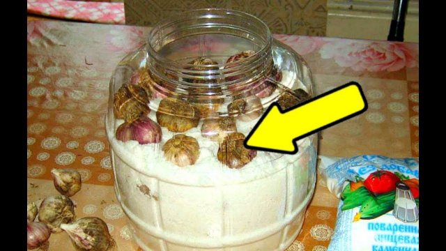 Храните зимой чеснок этим способом до лета! Как хранить чеснок зимой дома?