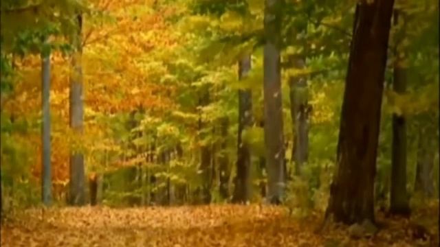 Вивальди - Осень