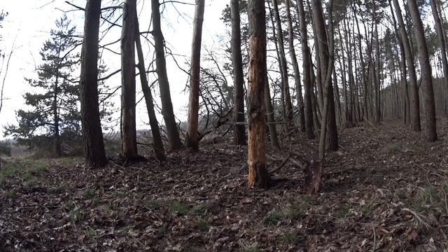 Учусь Метать Сюрикен За 24 Часа