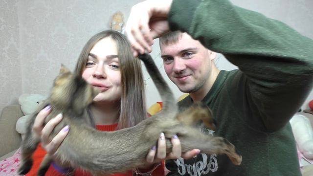 ТЕЛО ЧЕРНОРЫЖА | 5 ФАКТОВ | СЛАДУН КУСАЕТСЯ?