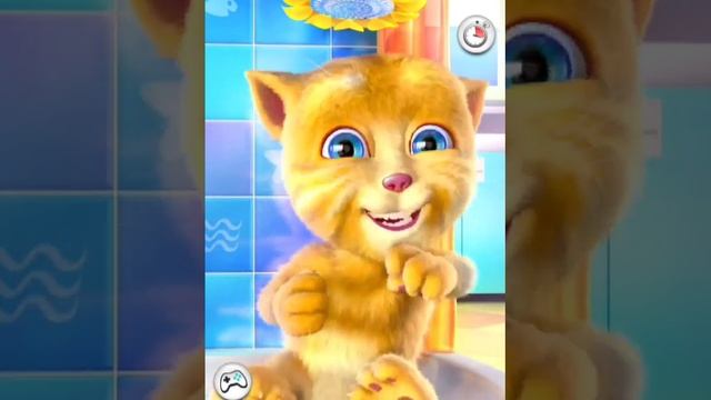 Talking Ginger