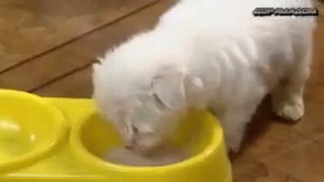 Любовь на небесах корейский сериал. Серия 4