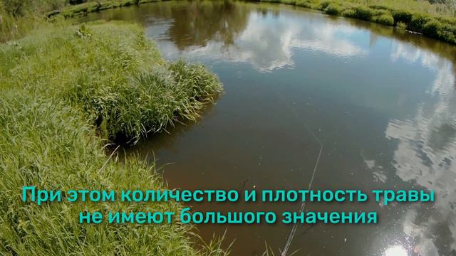 Приманка TUKA Kite для ловли на травяных перекатах