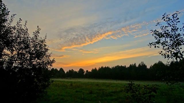 Расслабляющее пение соловья на рассвете для отдыха, сна, учёбы или медитации. Звуки природы