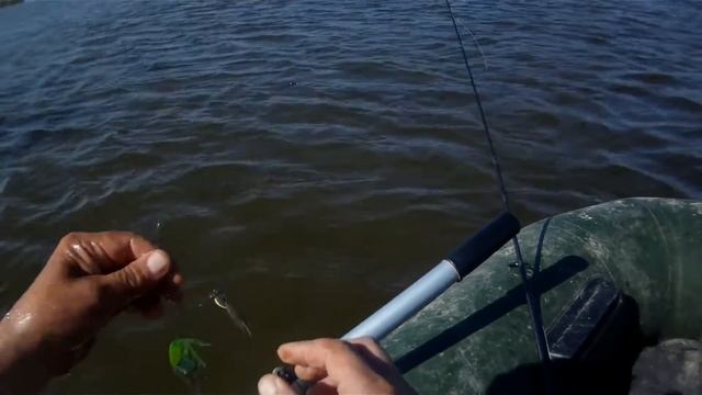 Ловля щуки мелководья на спиннербейт Megabass V-Flat.Pike Fishing.