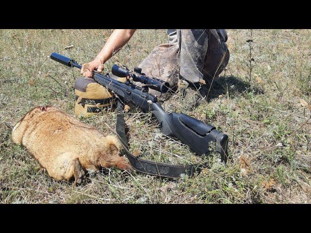 охота на сурка с карабином ATA ARMS TURQUA закрытие