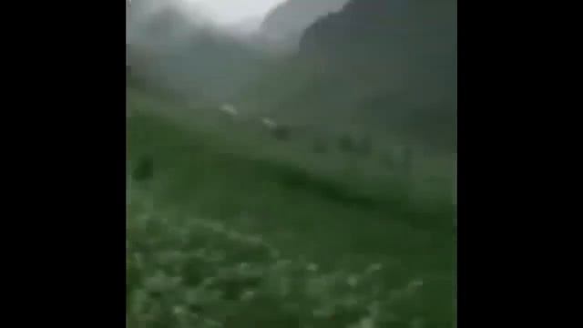 В Китае проснулся дракон! Видео очевидцев