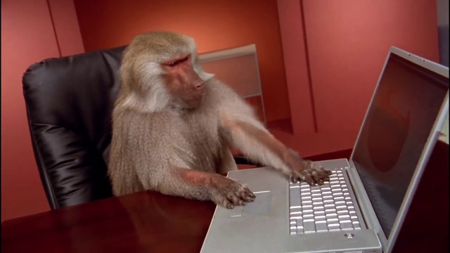 monkey
