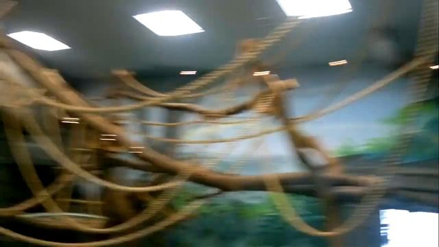 ЛУЧШИЕ МЕСТА ОТДЫХА В НОВОСИБИРСКЕ