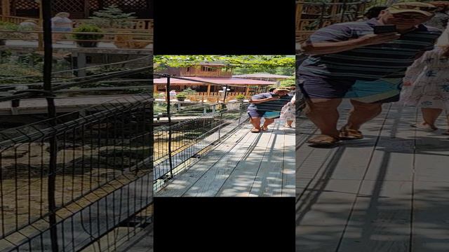 VID20240607133448