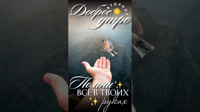 Все в твоих руках