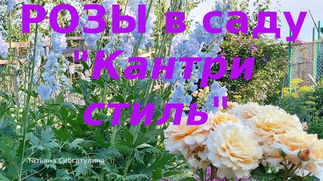Розы Мой сад в природном стиле