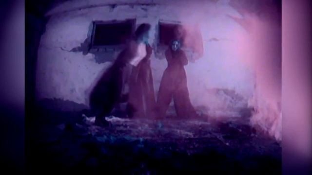 Setora - Yollizlik