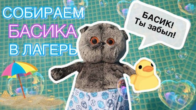 СОБИРАЕМ БАСИКА В ЛАГЕРЬ